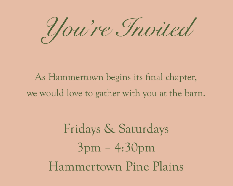 Toast to Hammertown with Joan