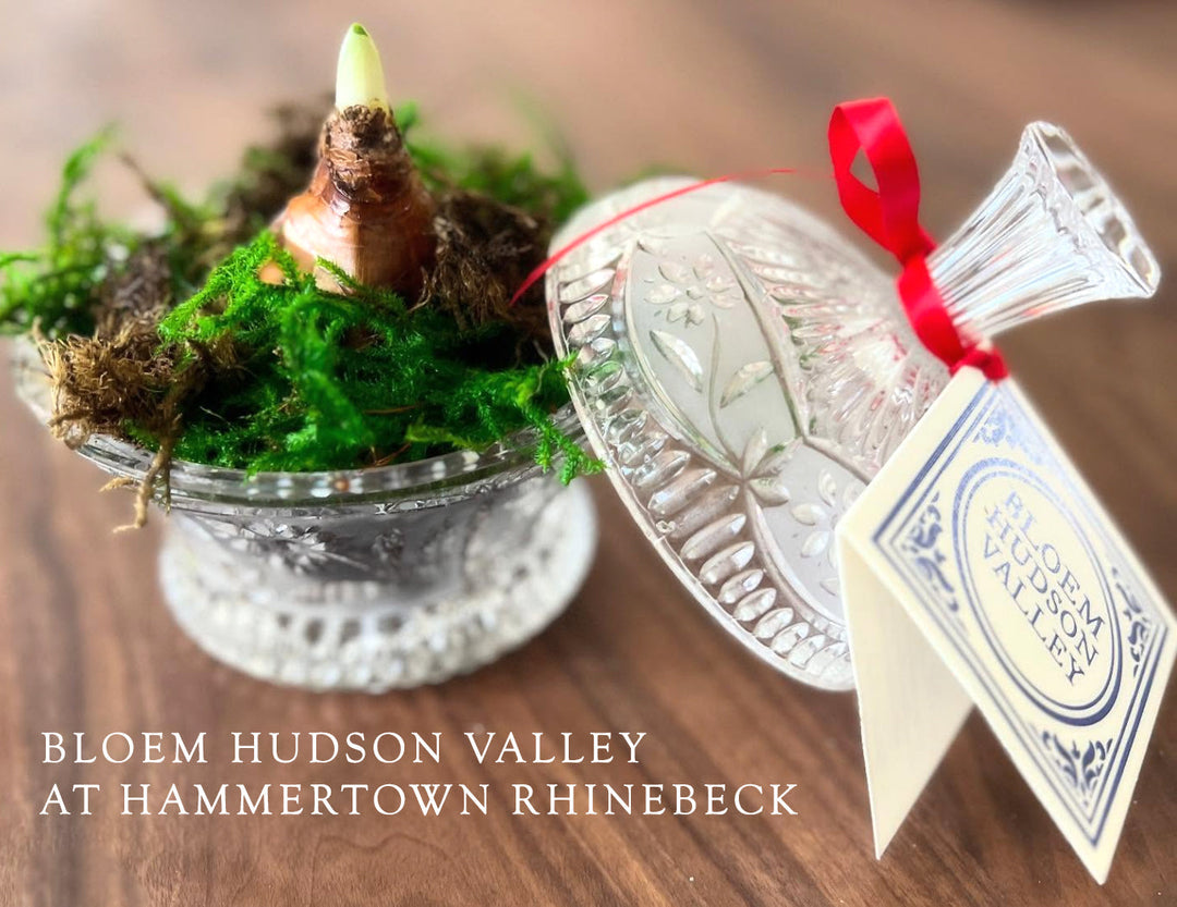 BLOEM Hudson Valley in Rhinebeck
