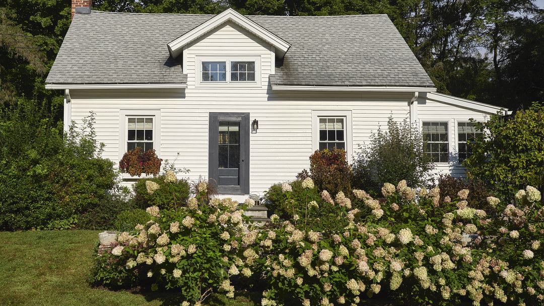 A Small House with Big Style