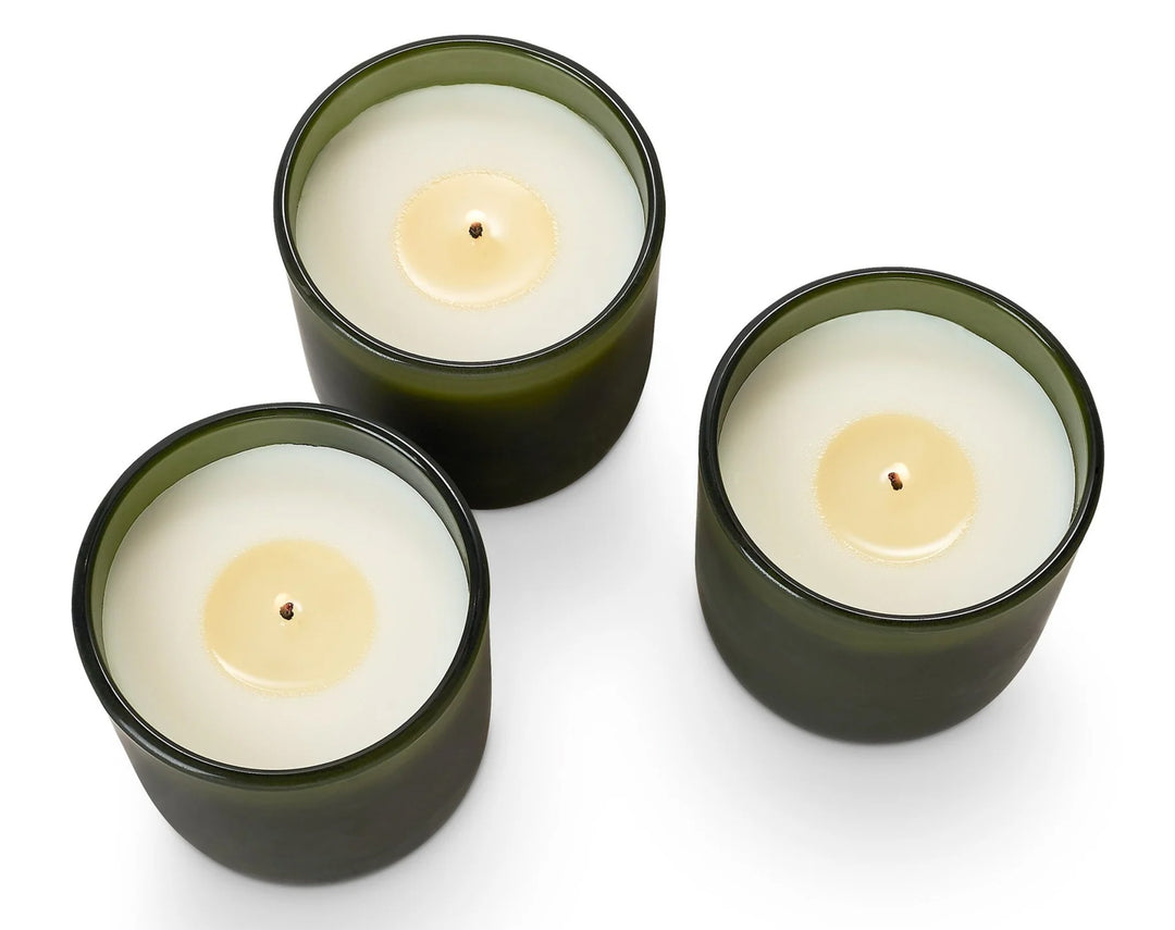 Balsam & Cedar Candle Trio Gift Set