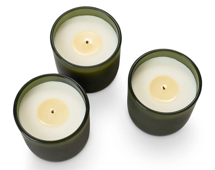 Balsam & Cedar Candle Trio Gift Set