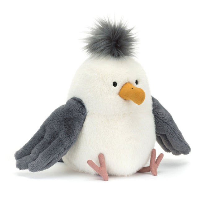 Chip Seagull