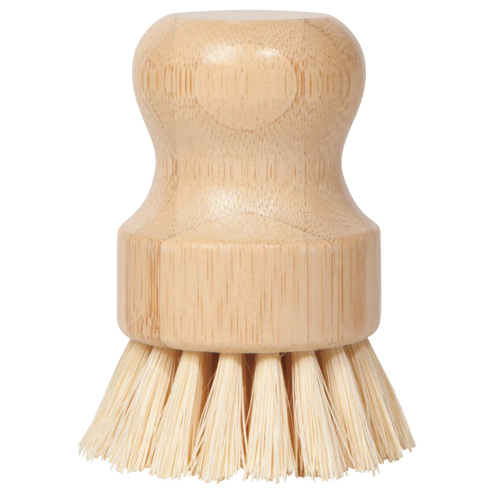 Dish Brush & Soap Set of 3