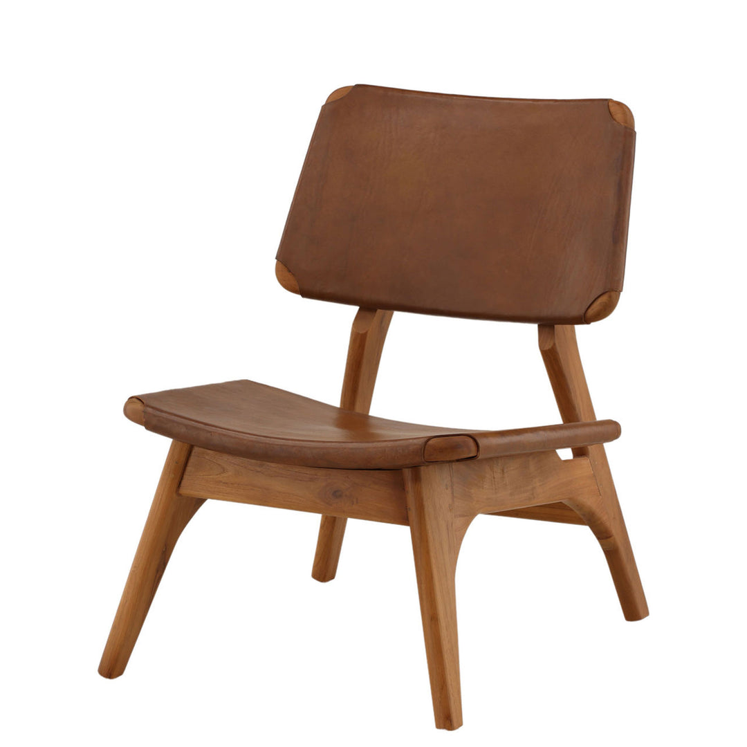 Quin Occasional Chair in Brown Leather and Teakwood