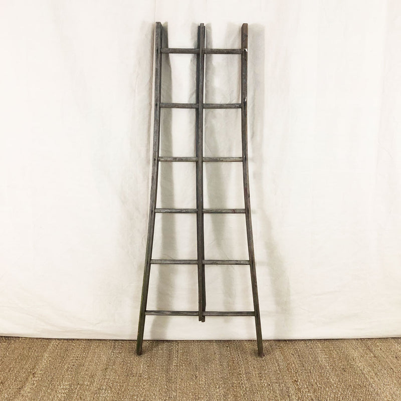 Vintage Old Ladder