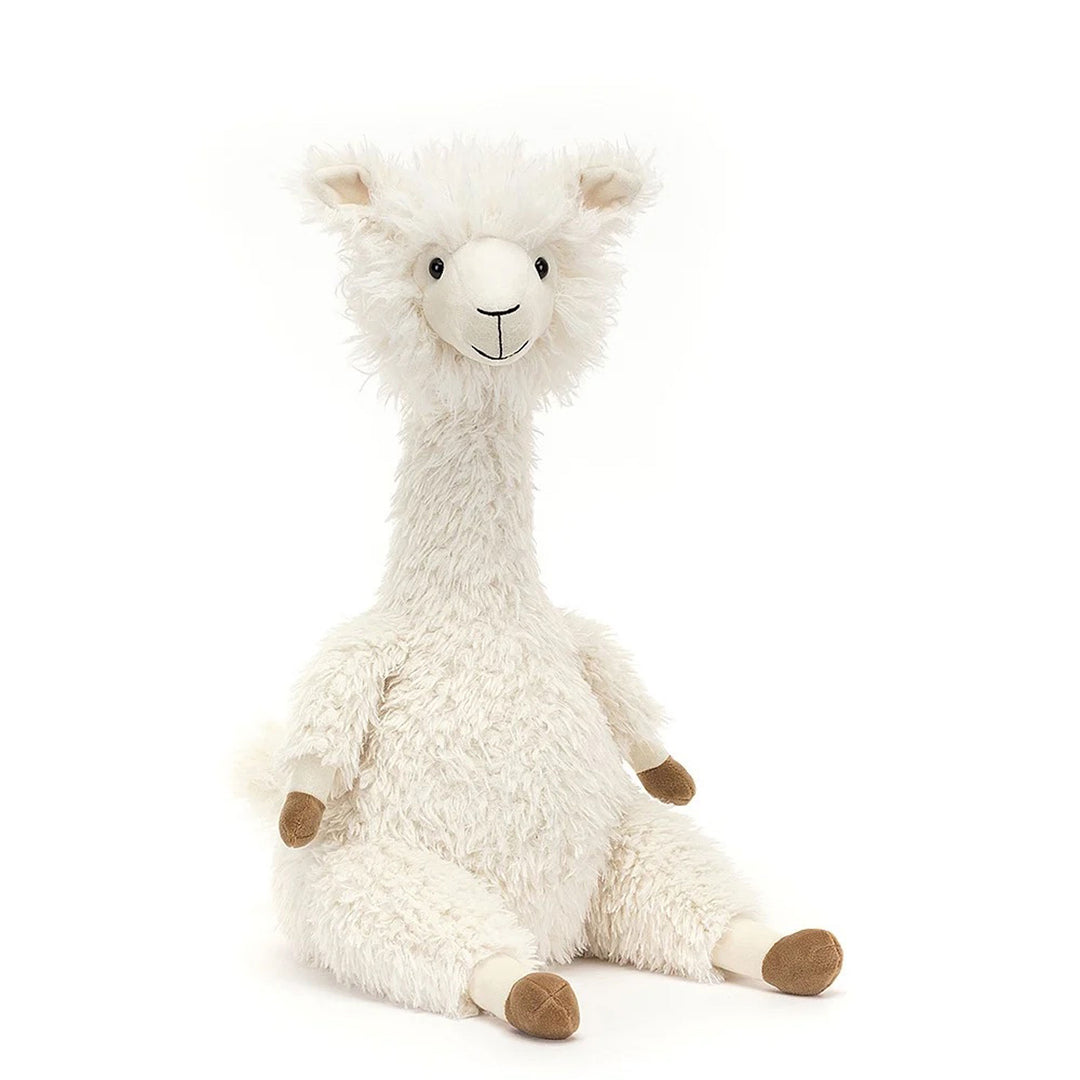 Alonso Alpaca