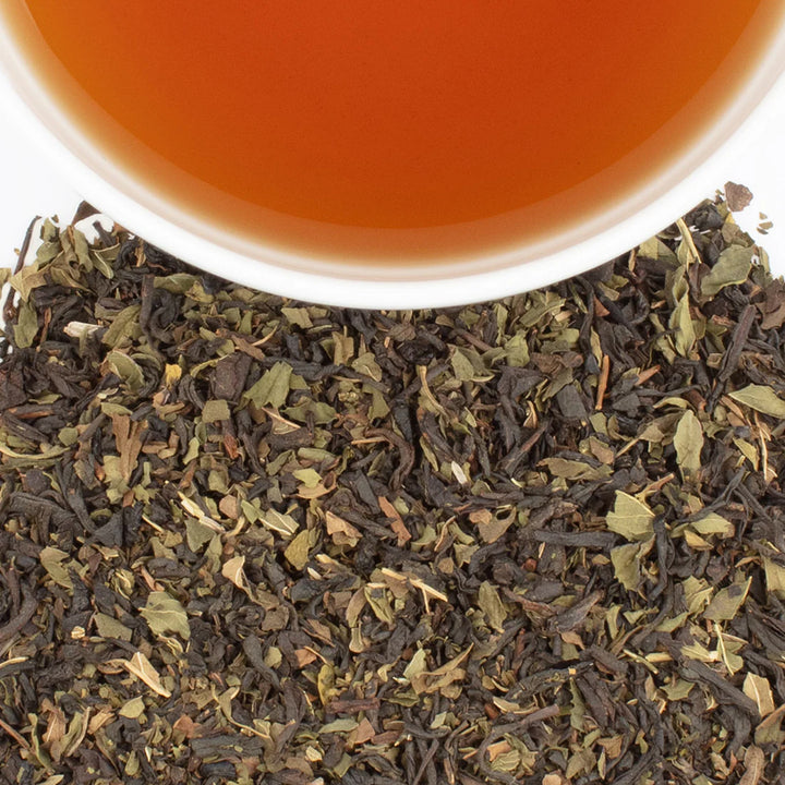 Chocolate Mint Tea Tin 20 Sachets Per Tin