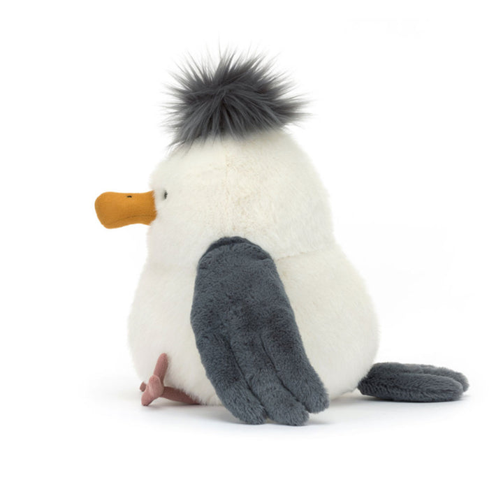 Chip Seagull