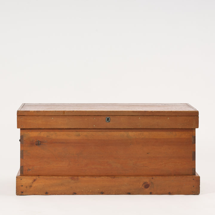 Wooden trunk on a white background
