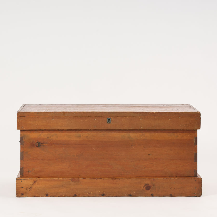Wooden trunk on a white background