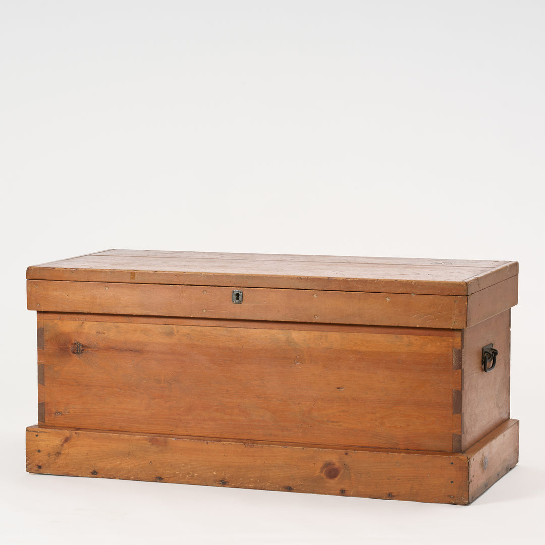 Wooden trunk on a white background