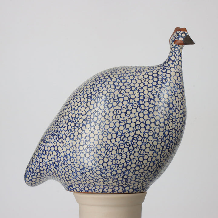 GUINEA FOWL WHITE SPOTTED COBALT SM