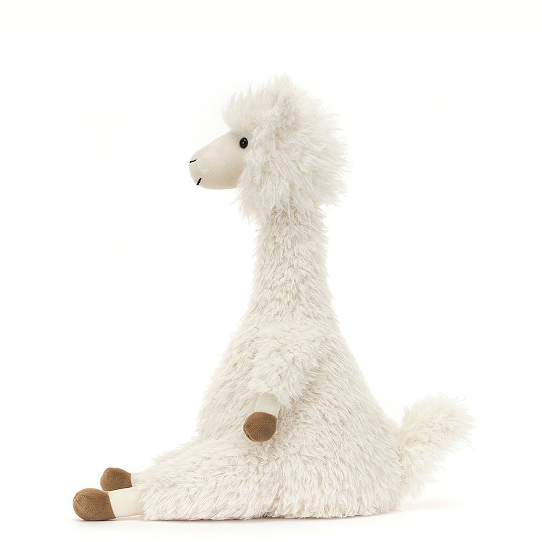 Alonso Alpaca