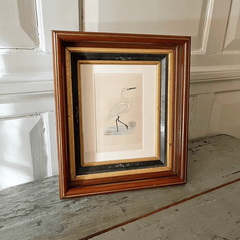 Vintage Egret Print in Old Decorative Frame