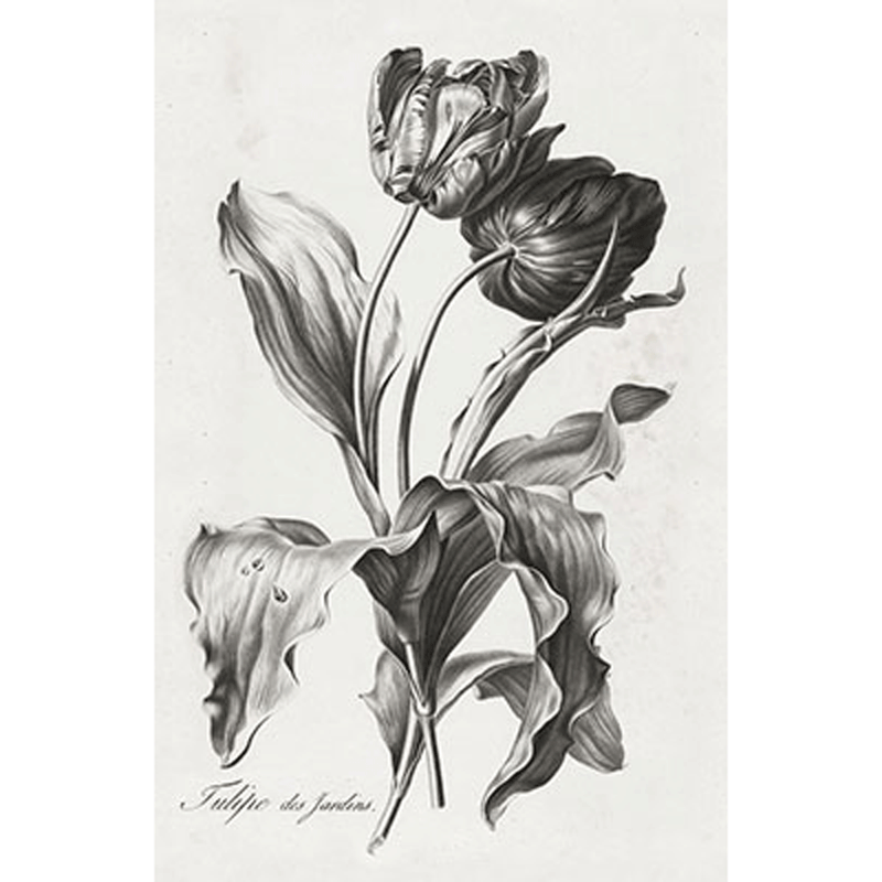 Black & White Botanical/Tulip Wall Hanging