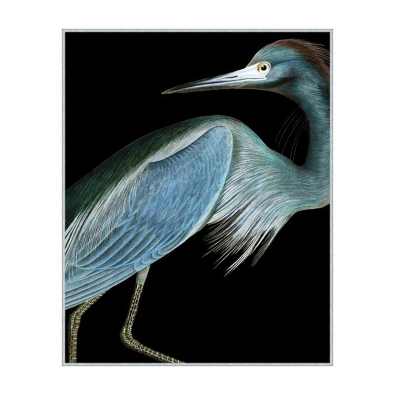 Stately Heron on Canvas (32x39)